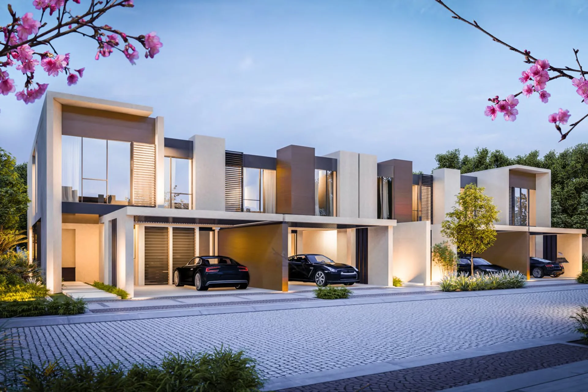 Townhouses in the community