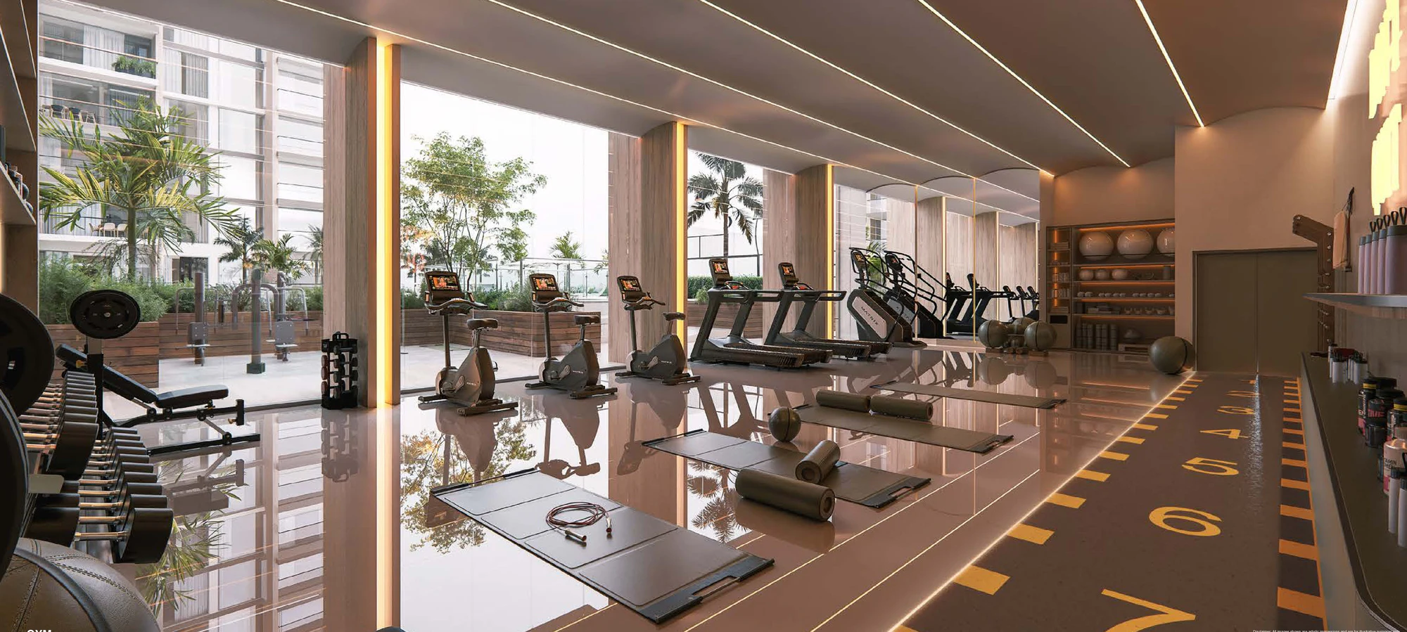 El gimnasio